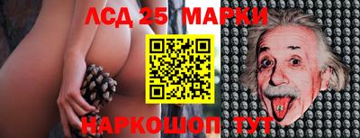 гидропоника Жуковский