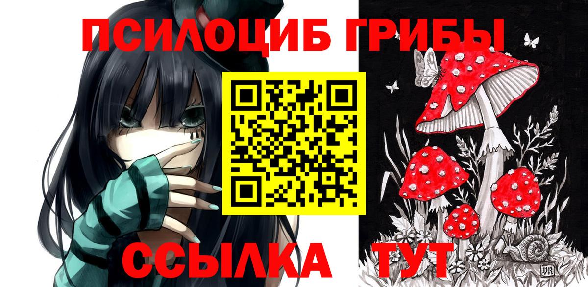 Галлюциногенные грибы GOLDEN TEACHER Кольчугино